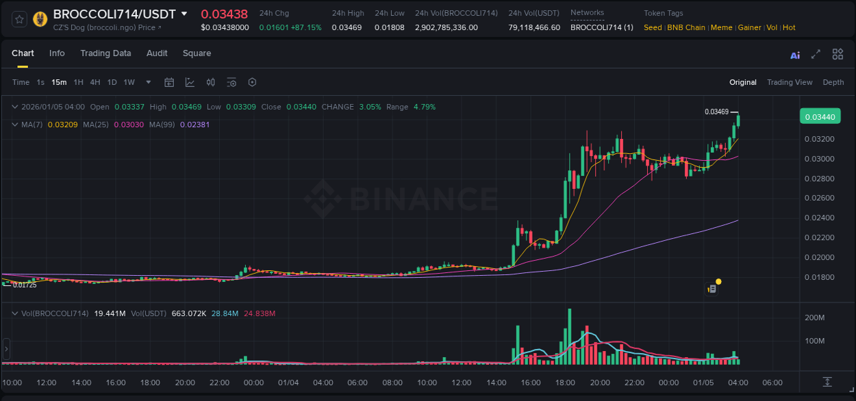 Binance trading report for BROCCOLI714 pump, 05 January 2026, 03:50