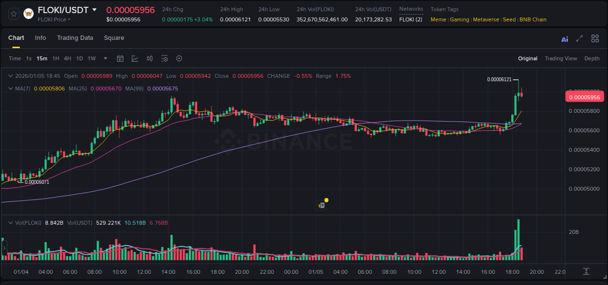 Detailed analysis of FLOKI's price surge on Binance, 05 January 2026, 18:37