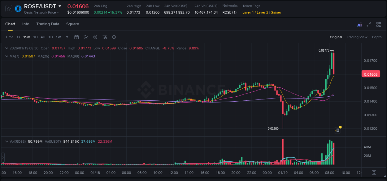 Crypto market update: ROSE pump on Binance, 19 January 2026, 08:18