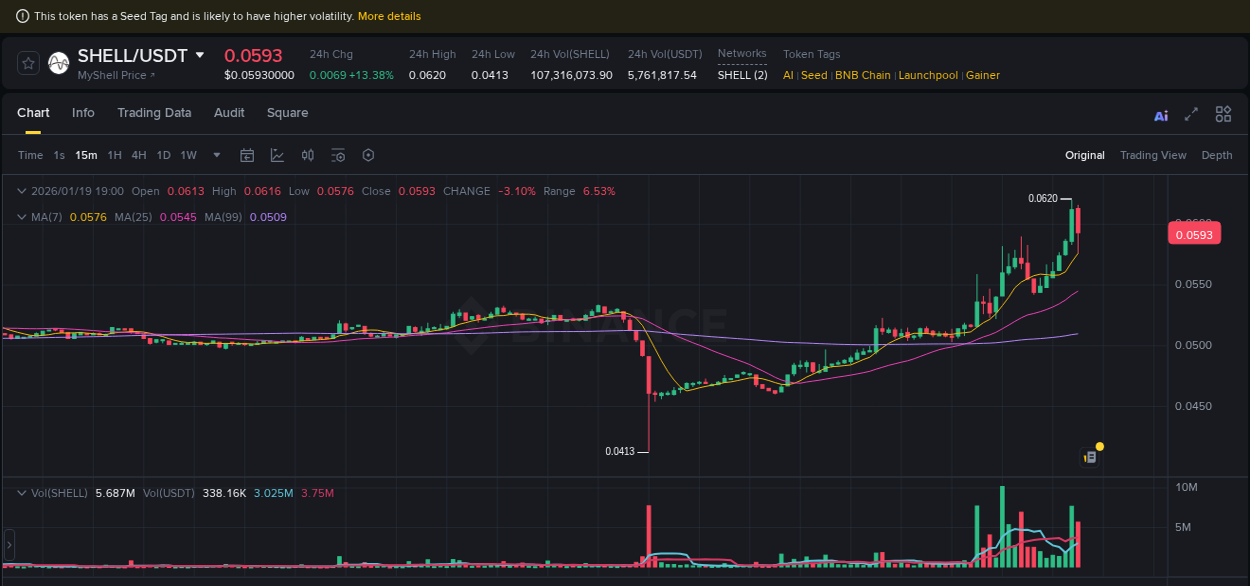 Binance trading data for SHELL pump, 19 January 2026, 19:02