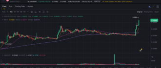 report 20260131 0314 - Report of coin pump on Binance - 31 January 2026 1