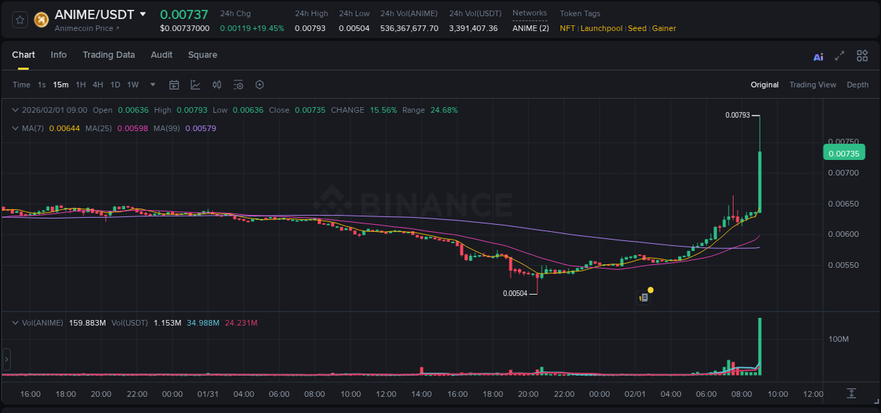 Live report of ANIME pump on Binance, 01 February 2026, 09:04