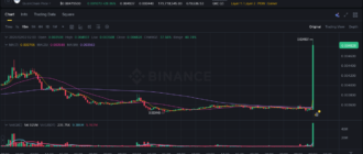 report 20260202 0203 - Report of coin pump on Binance - 02 February 2026 5