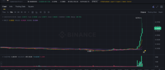 report 20260212 0003 - Report of coin pump on Binance - 12 February 2026 4