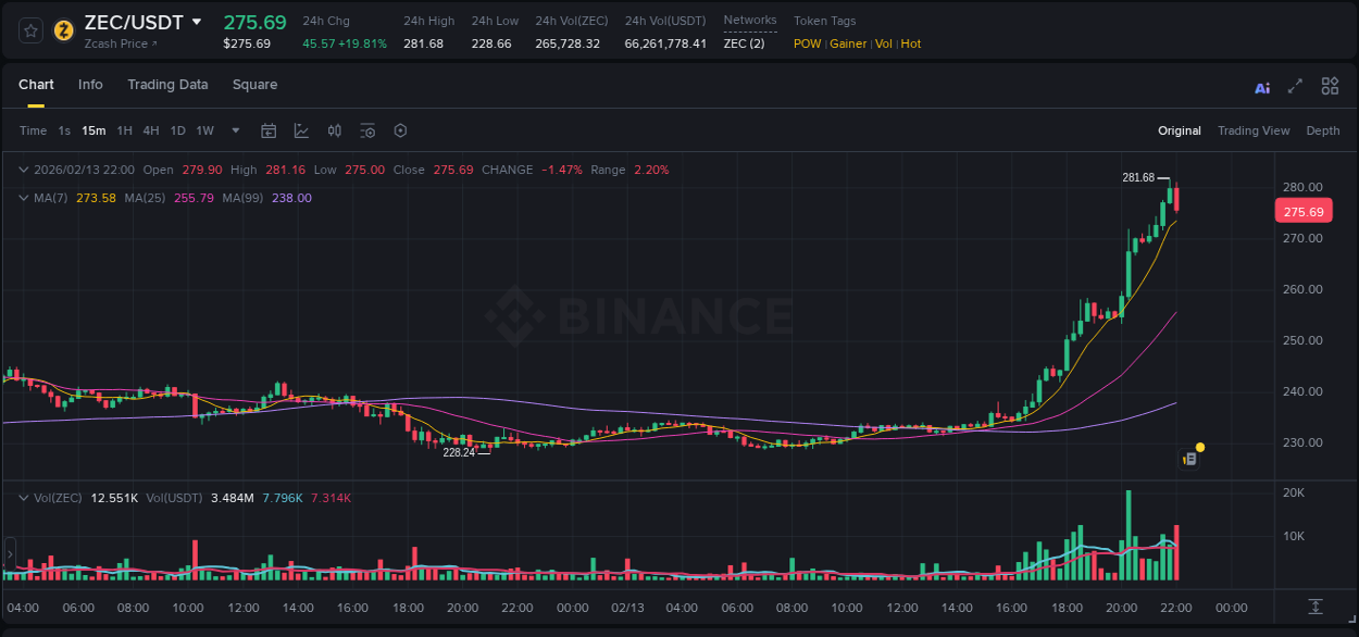 Get trading insights from ZEC pump report on Binance, 13 February 2026, 21:55 Trading data insight: ZEC pump report from Binance, 13 February 2026, 21:55