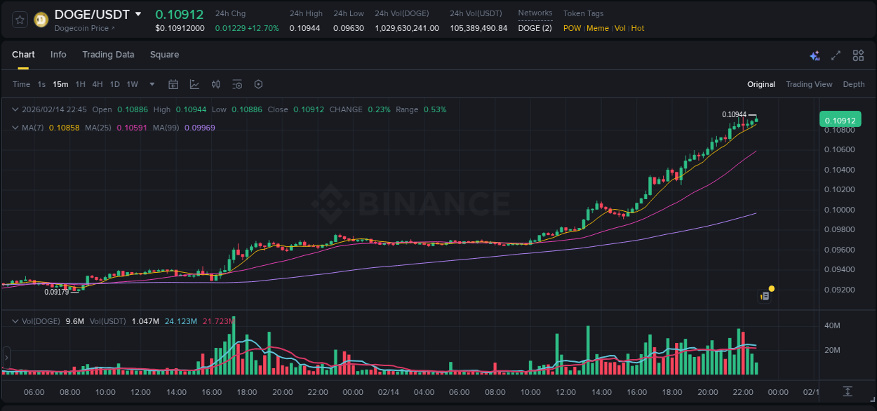 Investigate market structure: DOGE trading momentum on Binance, 14 February 2026, 20:18 Market microstructure: DOGE trading surge on Binance, 14 February 2026, 20:18