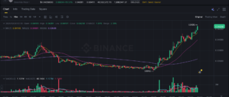 report 20260220 0335 - Report of coin pump on Binance - 20 February 2026 2