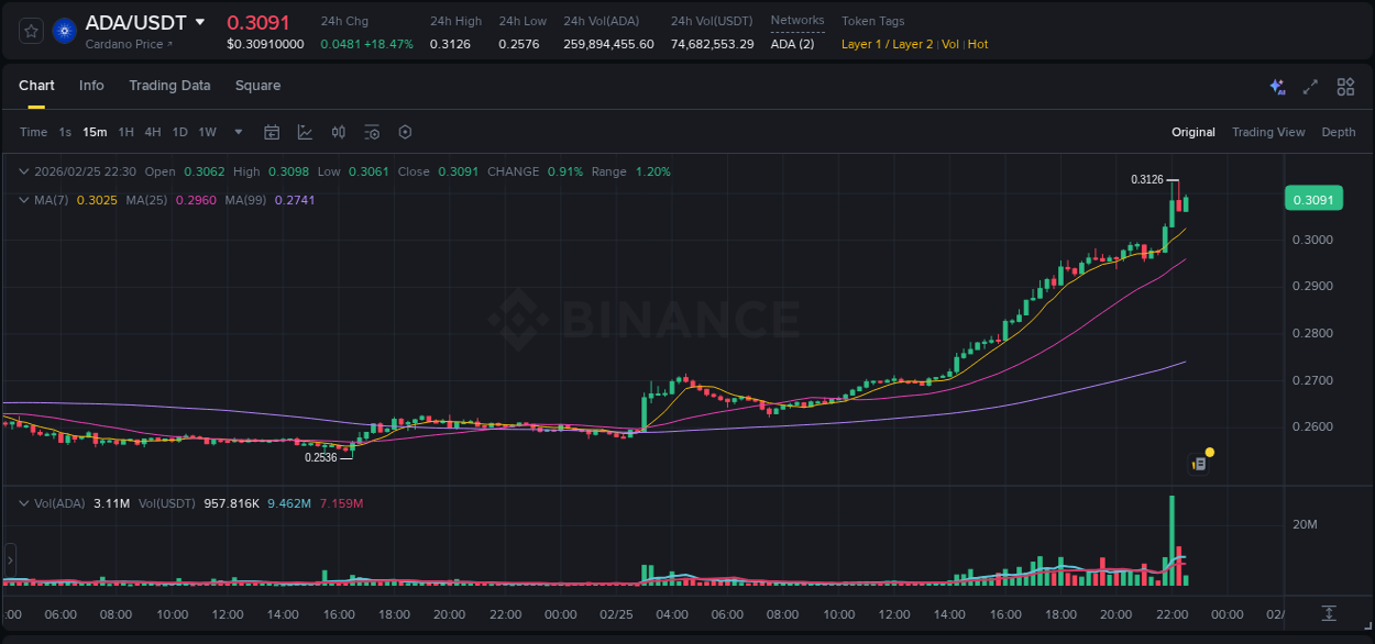 Access Binance pump statistics for ADA at 25 February 2026, 22:03 Binance pump statistics for ADA at 25 February 2026, 22:03