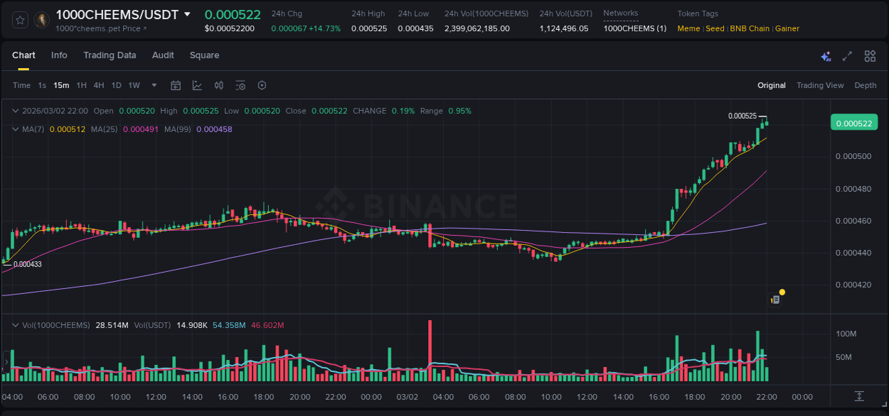 Discover the Binance pump data for 1000CHEEMS at 02 March 2026, 22:01 Binance pump overview for 1000CHEEMS, captured at 02 March 2026, 22:01
