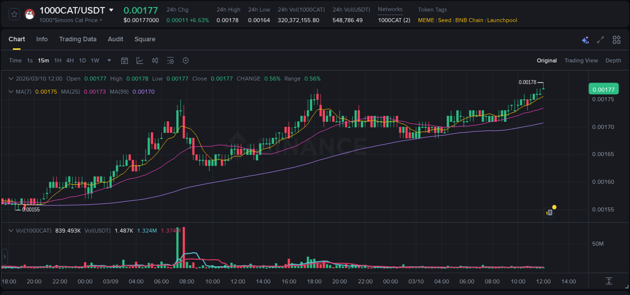 Analysis of 1000CAT pump activity on Binance at 10 March 2026, 12:03