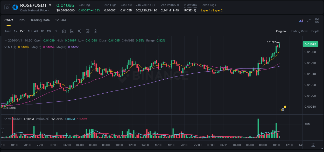 Binance pump data for ROSE at 11 April 2026, 10:43 Binance pump data for ROSE at 11 April 2026, 10:43