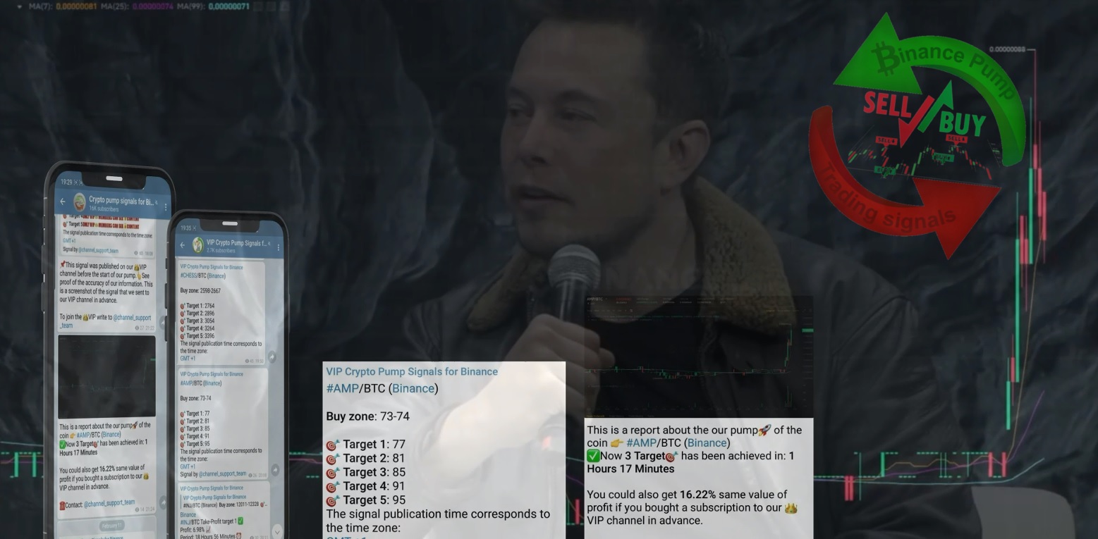 Best crypto signals for beginners How to trade with crypto signals